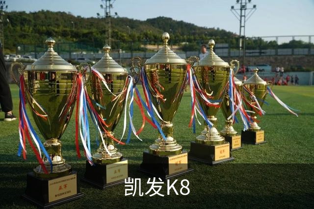 凯发K8公司简介图片